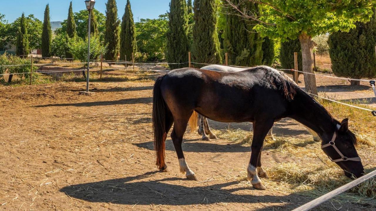 Cortijo Carrillo Antequera By Ruralidays Villa Екстериор снимка